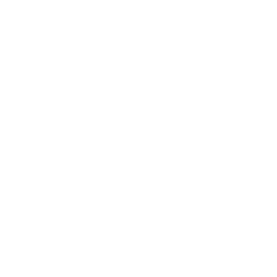 power-bi icon